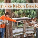 Manfaat Belajar Tentang Hewan Melalui Kunjungan ke Kebun Binatang: Gerbang Pembelajaran Holistik dan Pengasuhan Berkesadaran