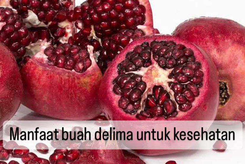 Manfaat Buah Delima Untuk Membersihkan Arteri Sebuah Pendekatan Alami Menjaga Kesehatan Jantung