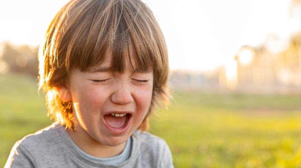 Mengatasi Ledakan Emosi Tips Menghadapi Anak Yang Suka Menjerit Saat Menginginkan Sesuatu