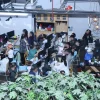 Terbongkarnya Jaringan Judi Online Lintas Negara di Jakarta: Ratusan WNA Ditangkap, Penyalahgunaan Visa dan Overstay Jadi Sorotan