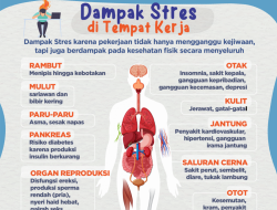 Apa dampak stres pada kesehatan fisik