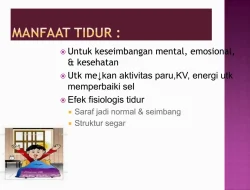Apa itu istirahat aktif dan mengapa penting bagi mental